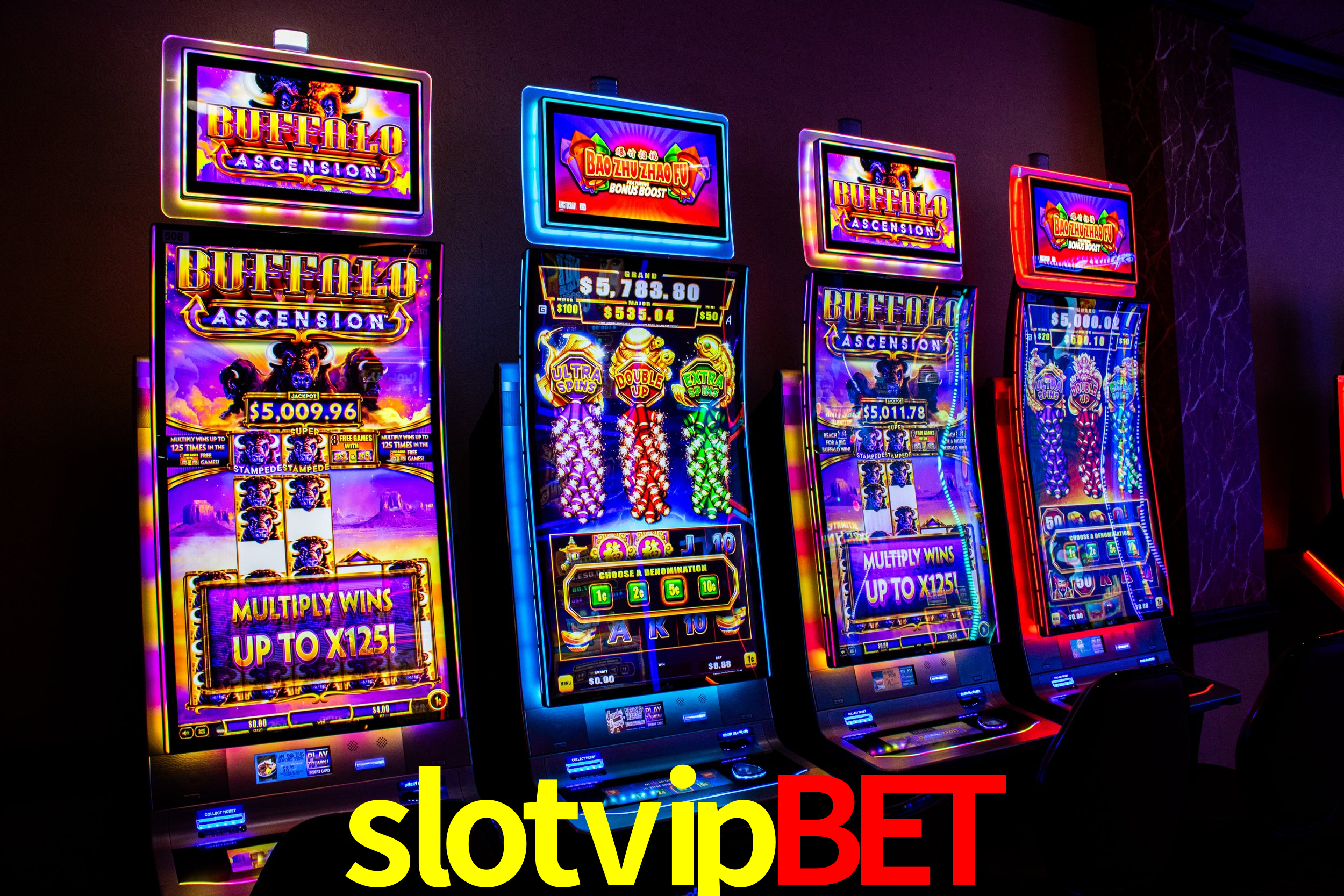 Statistics slotvipbet